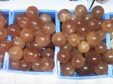 Semi Precious Stone Natural Crystal Calcite Spheredisplay <Esb01664>